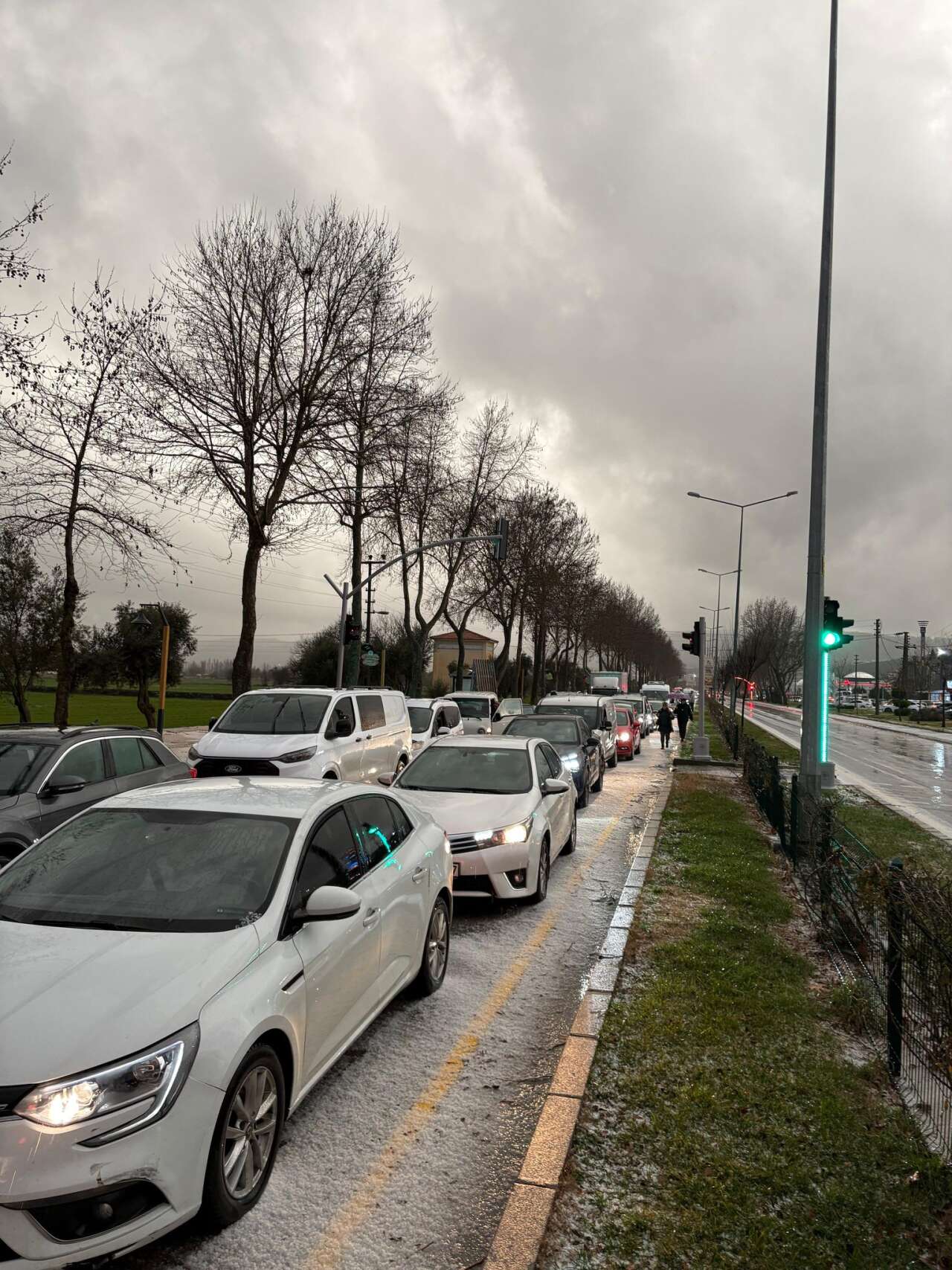 Menteşe’de Fırtına Trafiği Felç Etti: Uğur Mumcu Bulvarı’nda Ağaç Devrildi 1